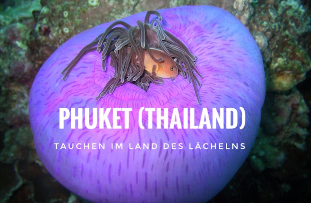 Tauchen Phuket