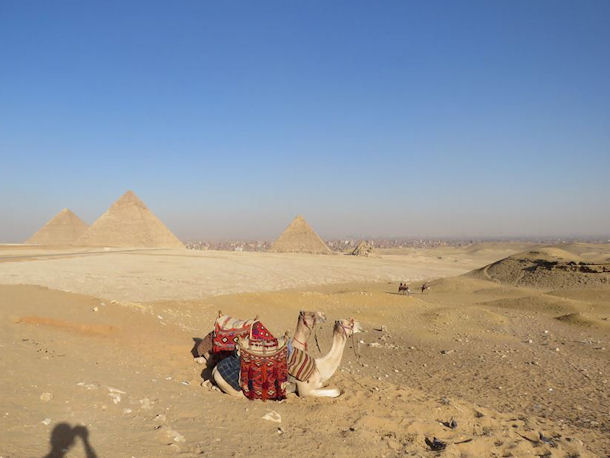 Pyramiden Kairo gypten
