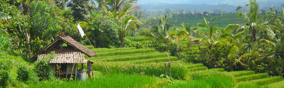 Bali