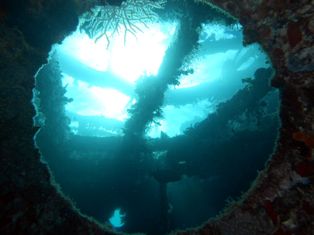 Balena Wrack Hurghada gypten