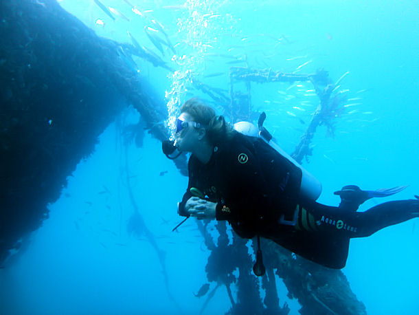 Balena Wrack Hurghada gypten