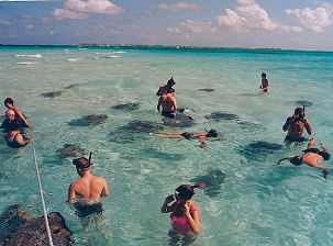 Stingray City