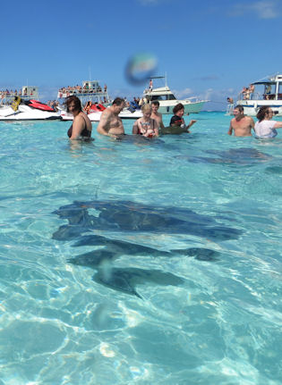 Stingray City