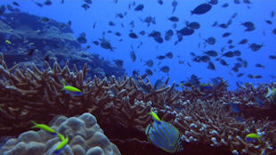 Christmas Island