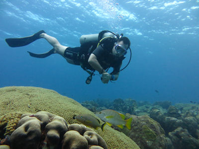 Tauchen Curacao