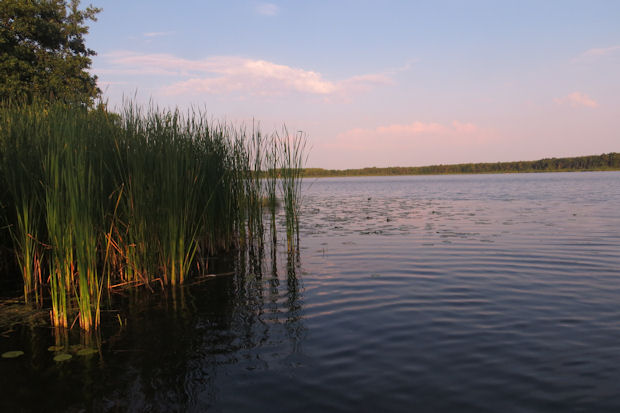 Dreetzsee