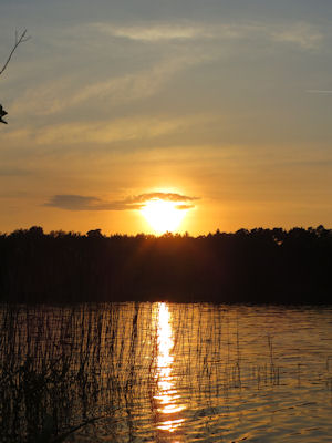 Abendstimmung am Gro Vter See