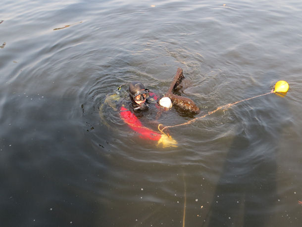 Umwelttauchen am Luisenhain in Kpenick