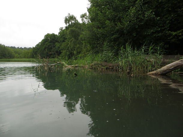 Liepnitzsee