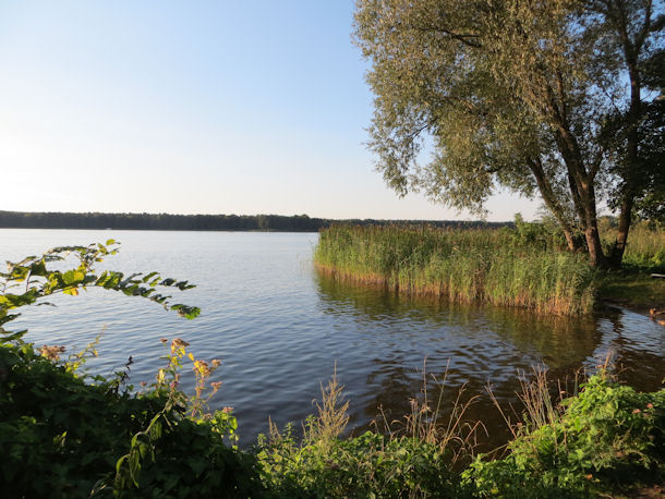 Seddinsee