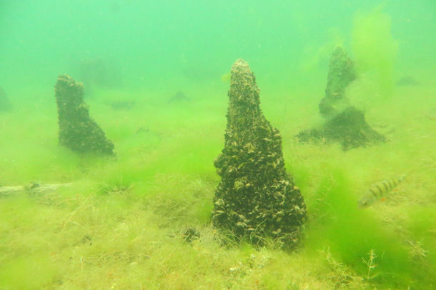 Pfahlbauten im Werbellinsee