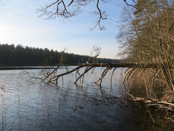 Wuckersee