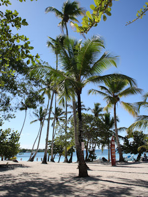 Bayahibe