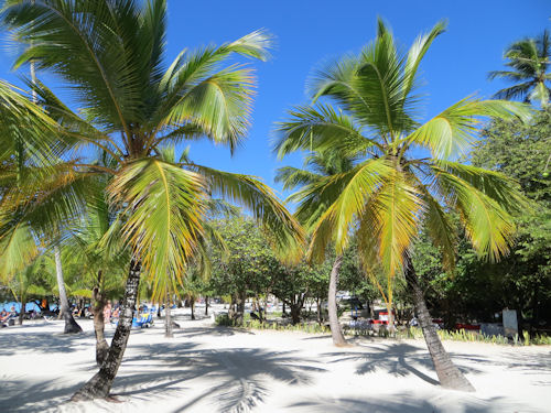 Bayahibe Dominican Republic