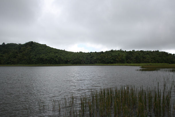 Grand Etang Crater Lake in Grenada