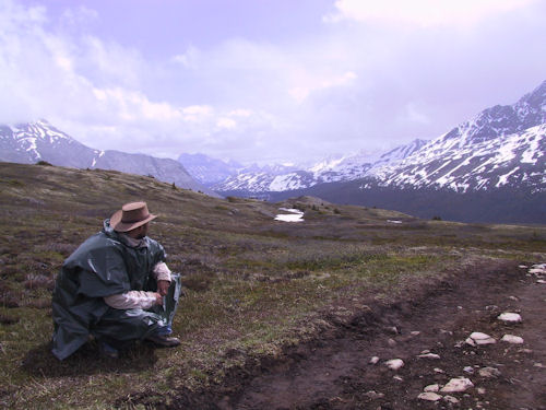 Columbia Icefield