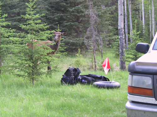 Lake Kinney Canada