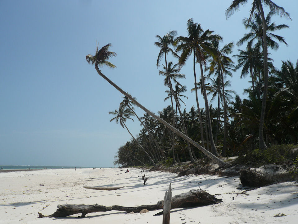 Diani Beach