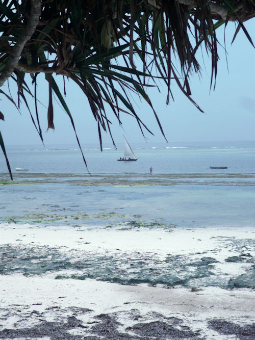 Diani Beach