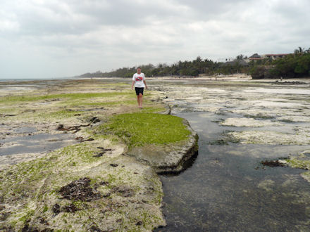 Diani Beach