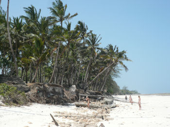 Diani Beach