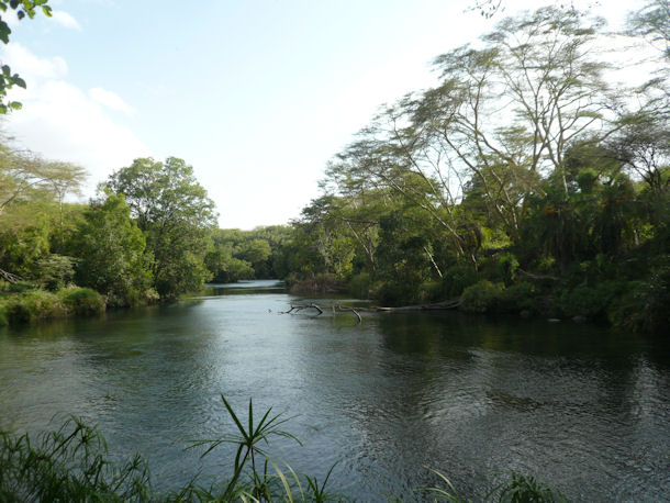 Mzima springs