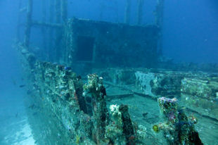 Wreckdiving Maldives