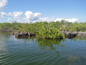 Punta Soliman Bay Mexiko