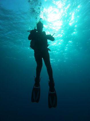 Tauchen in Cozumel