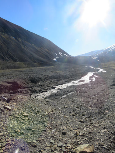 Fossiliensuche vor dem Longyear-Gletscher