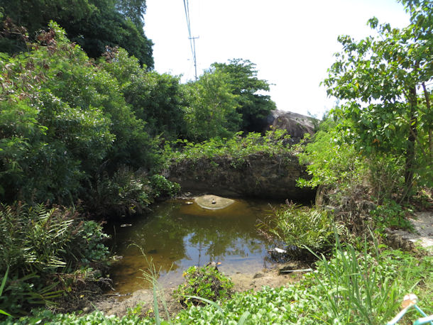 Bel Ombre Treasure and Heritage Site