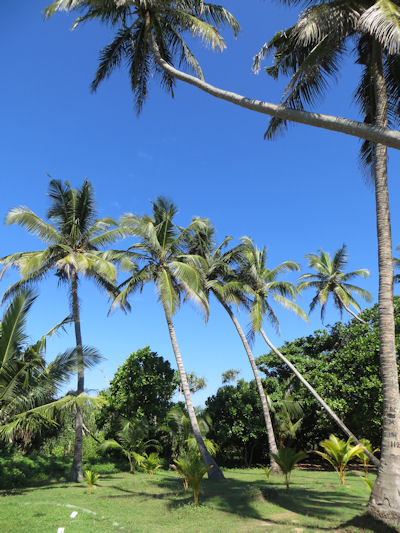 Hikkaduwa Sri Lanka