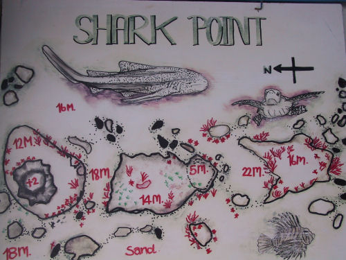 Sharkpoint