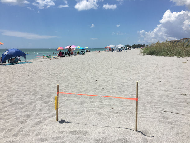 Venice Beach Florida