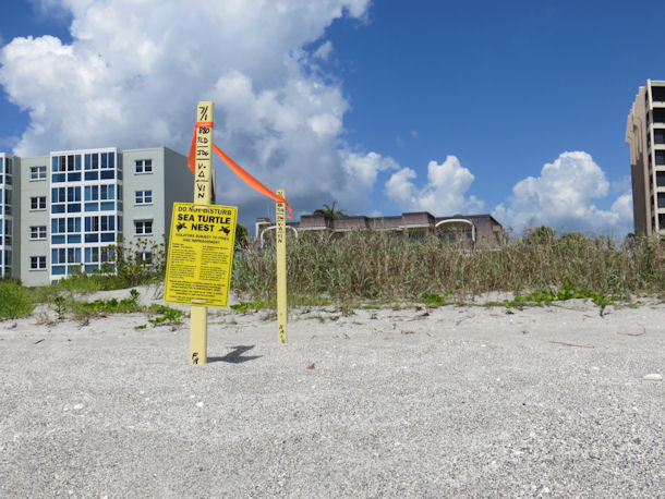 Venice Florida