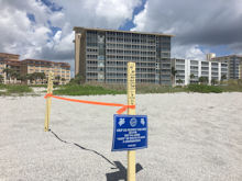 Venice Florida