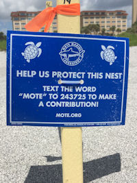 Venice Florida