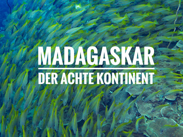 Tauchen Madagaskar