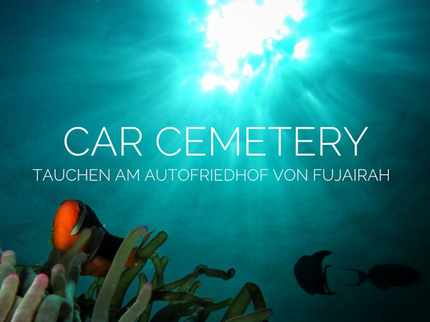 Car Cemetery