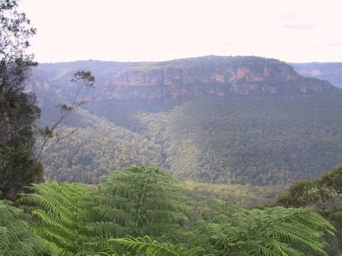 Blue Mountains