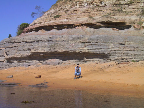 Collaroy Beach