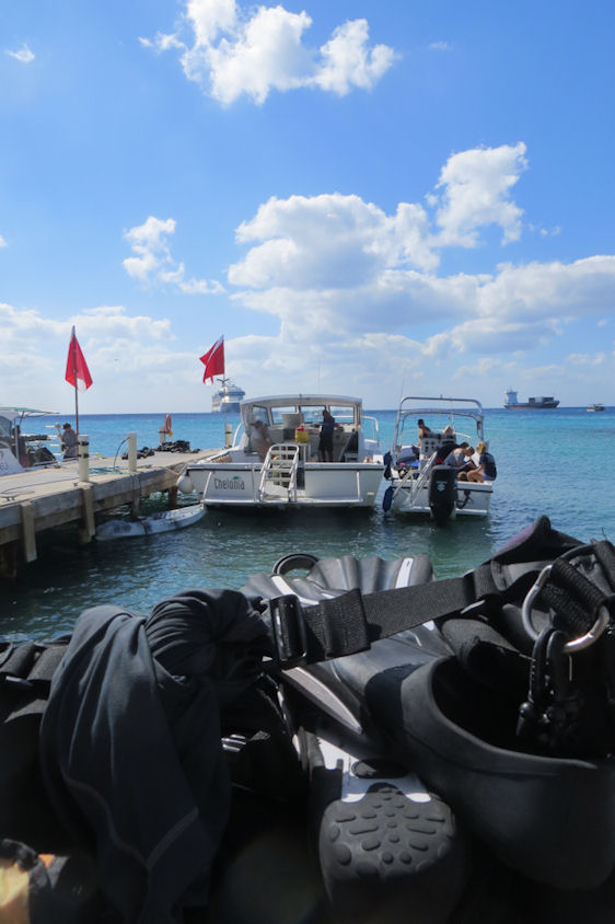 Diving Grand Cayman