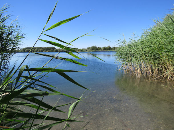 Kiessee Wegeleben bei Halberstadt