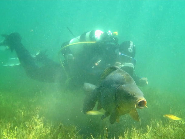 Kulkwitzer See bei Leipzig