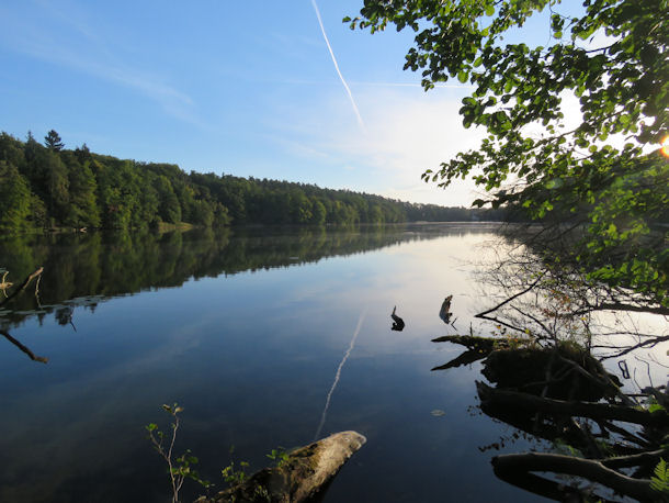 Obersee