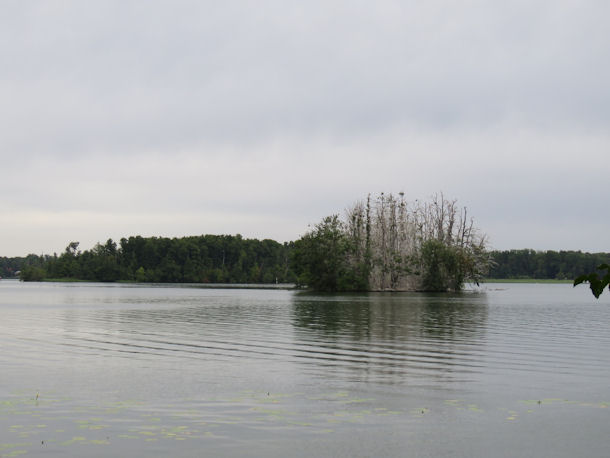 Scharmtzelsee