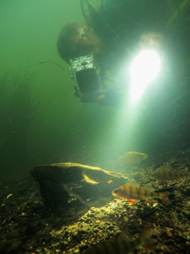 Tauchen in der Spree