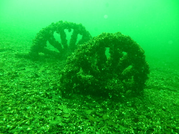 Pferdewagen im Werbellinsee