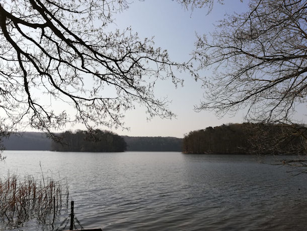 Blick auf den Wolletzsee