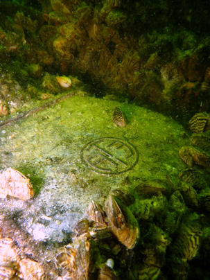 Flugzeugwrack Unteruckersee